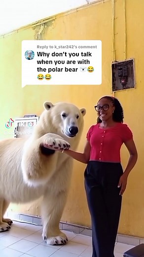 Hilarious Polar Bear Moments Compilation