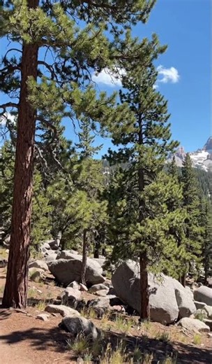 Woodland Park Colorado | summer 2025