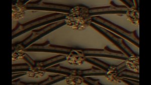 BLUE MONDAY // NEW ORDER #80smusicdecade #highlighteveryone | New WAVE 80s & 90s DECADEs