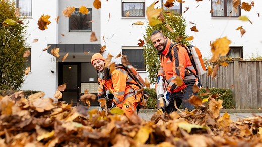 Checker Reportagen: Der Herbst-Check