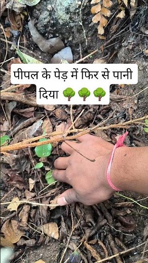 automatic dripping system reinstall water 💦🌊 #vlog #dailyvlogs