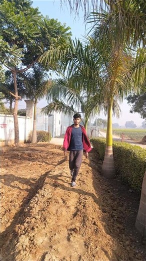 my dream 😱🥰 #viral #trending 🔥🔥 #shorts #video