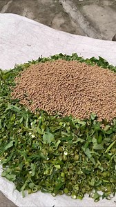 Naibenta na din ang aming baboy | Boww Den