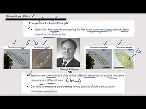 09 Competitive Exclusion Principle