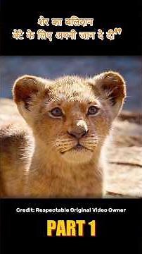 The Lion King (Hindi Dubbed) Full Movie Explained Part 1 | Emotional Story | #shorts #explained