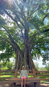 CANLAON CITY, NEGROS ORIENTAL 🍃 The Century Tree 🍂 Sudlon Falls 🍁Quipot Falls and Hanging Bridge 🌿 Padudusan Falls and Natural water Slide 🌱 The view of Mt. Canlaon Tara na sa Negros! Canlaon City Tourism Office Canlaon City Canlaon City Tourism Office Sudlon falls Quipot Falls Budlasan Canlaon City Negros Oriental Padudusan Natural Water Slide - Canlaon City Negros tourism Negros Occidental Tourism Division Follow me on Instagram instagram.com/pogs.15 #CanlaonCity #NegrosOriental #EngrPogs