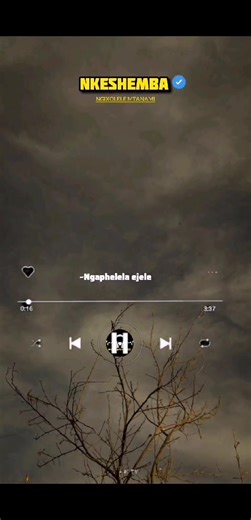 Ngixolele mtanami��Nkeshemba | Maskandi Lyrics