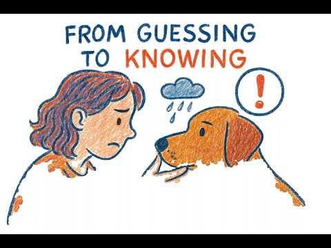 How to Know If Your Dog Has Fever