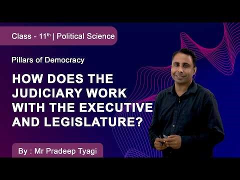 Class 11 | Political Science | Pillars of Democracy | How does the Judiciary Work?