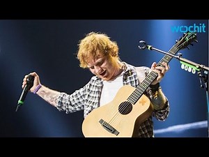 Ed Sheeran Accidentally Poops During Concert