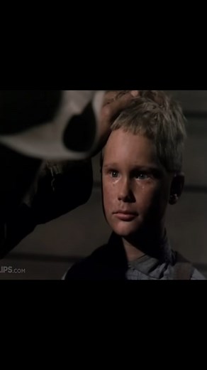 24K views · 586 reactions | Shane, Come Back! #westernmovies | Classic Western Movies | Facebook