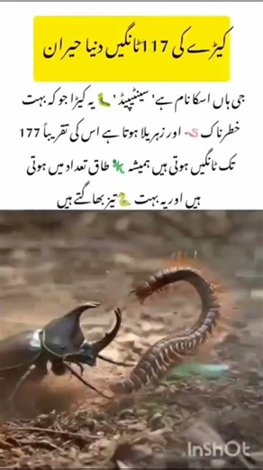 Fastest Kill in Nature#Centipede#amazingnature #naturefacts #wildlifefacts #youtubeshorts