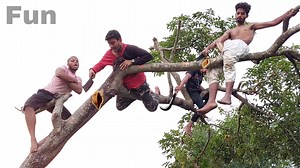 36M views · 559K reactions | Amazing Nonstop Funniest comedy video Fun moment #comedy #fun #bindasfunjoke | Bindas Fun Joke | Facebook