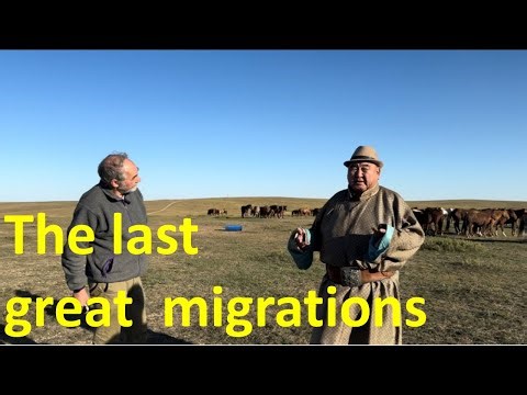 Migration and transhumance: movement across landscapes