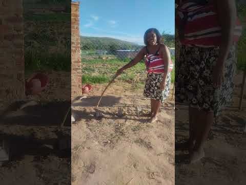 Introducing Directed Numbers