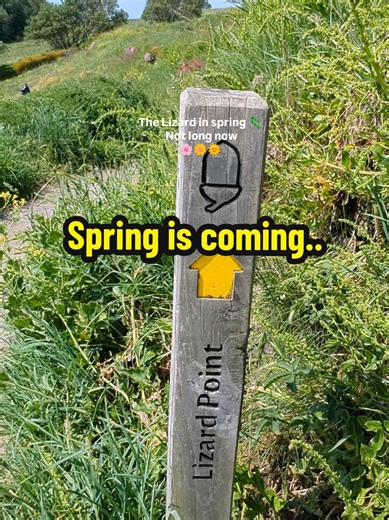 Come on Cornwall… spring is on the way. I can’t wait for sunny days like this on the Lizard Peninsular ☀️... and to get my shorts out the cupboard 😂 Who else is ready for spring?