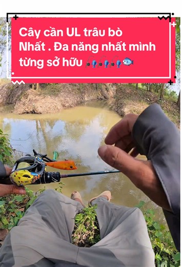 Cần Rancy D1: Lựa Chọn Hoàn Hảo Cho Newbie