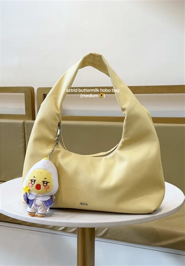 Stylish AZTRID Hobo Bag Review