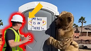 Hilarious Co-Worker Prank Bear Costume Shock Leaves Boss Speechless