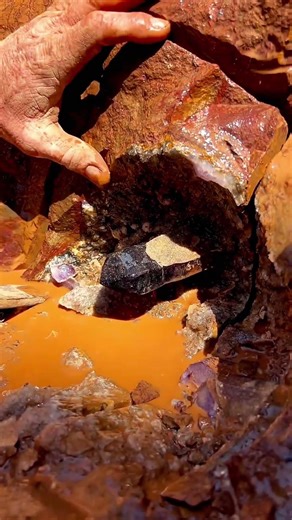 These boys found a purple Cristal.