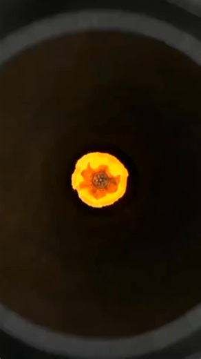 chapstick 💋💋 (@chp_stick)’s videos with original sound - chapstick 💋💋