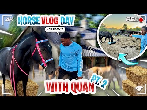 Taking Care Of Horses Vlog With Quan…