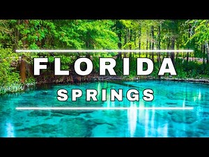 10 BEAUTIFUL Natural Springs and Parks You Need To Visit In Florida
