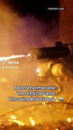 Ever seen a #robot dog with a flame thrower before? Well, now you have. #Thermonator, which was announced last year, is now available for purchase in the U.S for $9,420 and it’s pretty hot. 🔥🤖🐶 #robodog #robotdog #flamethrower #tech #robotics #techtok #throwflame #unitreego1 #quadruped #arcflamethrower #flamethrowers