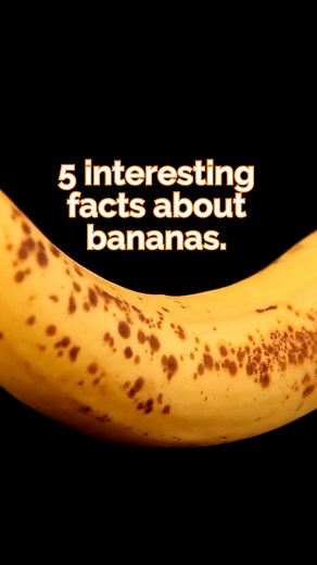 5 interesting facts about bananas. | All about health and nutrition
