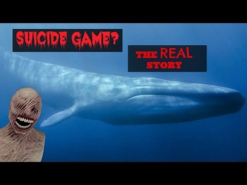 Blue Whale Game Facts- The true Story