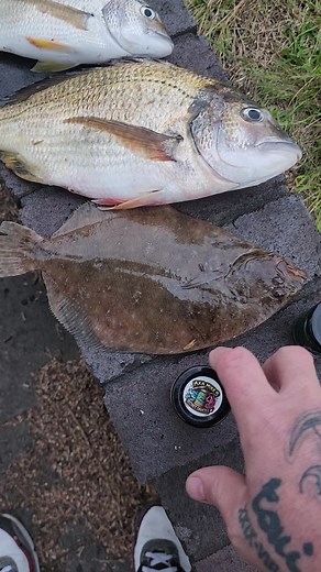 aka.mikes.fishing on TikTok