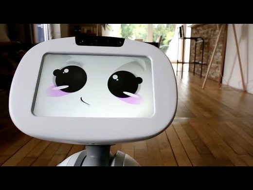 Buddy The Family Companion Robot