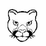 Fallston High School - Roster