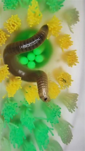 . . . . #microscope #undermicroscope #food #tranding #Amazing | Microscope Under