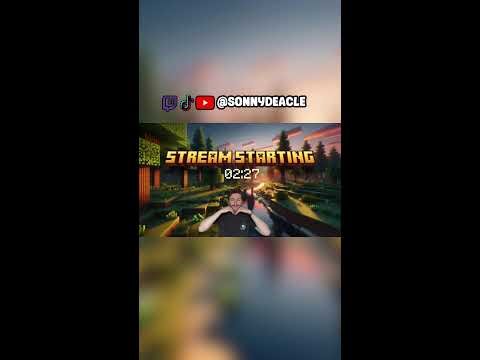 Catching hackers on sunnysmp.net (Portrait)