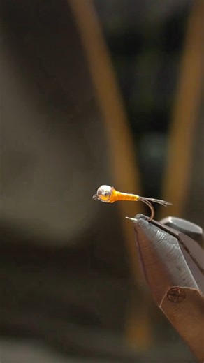 8.9K views · 96 reactions |  Discover the complete tying process of...