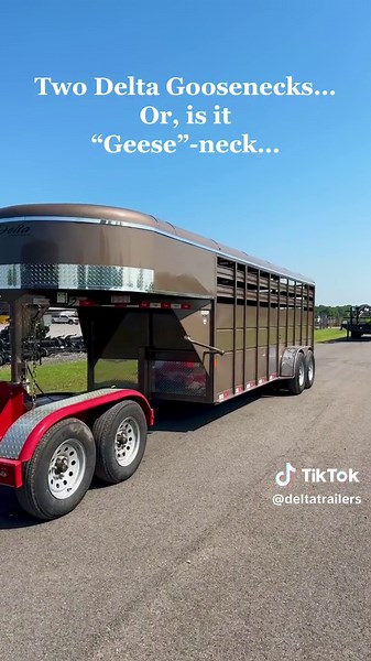 Two big ol, heavy duty, Delta gooseneck stock trailers headed out, back to back.##deltatrailers##goosenecktrailer##trailer##stocktrailer##livestock