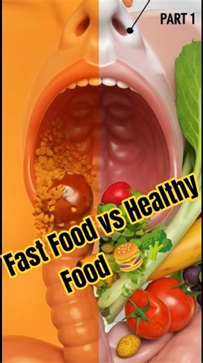 Fast Food vs Healthy Food 🍔🥦#FastFoodVsHealthy #DigestiveSystem #HumanBody #ScienceShorts