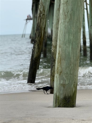 11K views · 247 reactions | Happy Labor Day weekend! It's going to be...