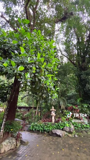 Mambukal Mountain Resort: Nature Escape Near Bacolod
