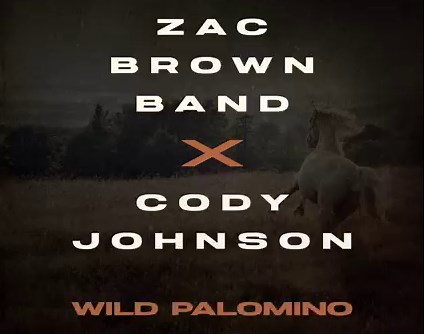 15K views · 695 reactions | Cowboys and love songs, that's country...