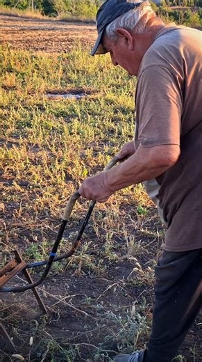 DIY Garden Cleanup #diygarden #gardencleanup #gardeningtips #diyprojects #gardencare #diy