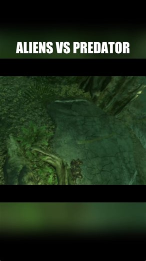 ALIEN VS PREDATOR VIDEO GAME #avp #predators #aliens #xenomorph #ps3