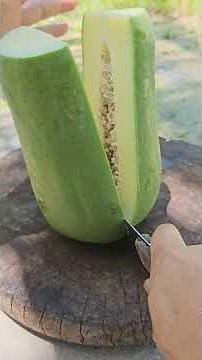 Green Papaya | Green Papaya Benefits