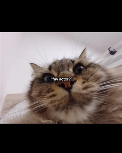 #fyp #viral #finn #finnwolfhard #finnwolfhardforever