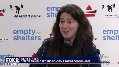 'Empty the Shelters' event at Detroit Animal Care and Control