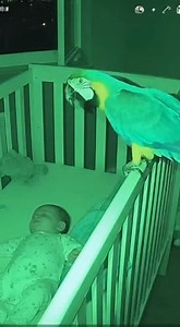 What just happened?! | Chris & Che Media