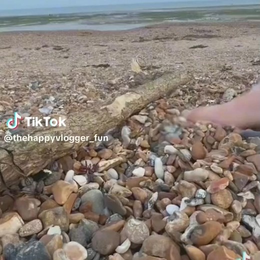 😀 #meme | Eijie Nutz