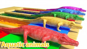 271K views · 4.7K reactions | Wild animals and their young are transformed into aquatic animals (part 1) animal sounds | Kidtv-channel For Baby | Facebook