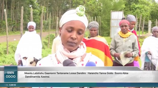 SMN ODOO (29/09/2015) | Sidama Media Network-SMN